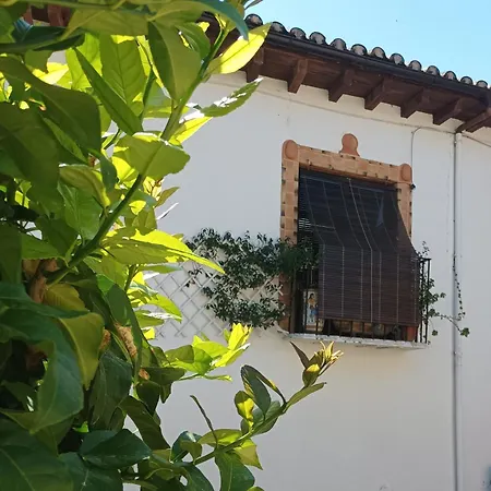 Casa de hóspedes La Solana, Y Alfarería