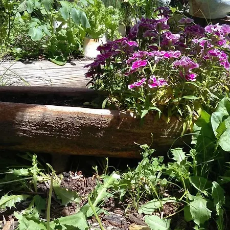 La Solana, Y Alfarería 4* Arenas de San Pedro