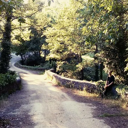 La Solana, Y Alfarería Arenas de San Pedro