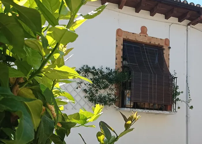 게스트하우스 La Solana, Y Alfareria