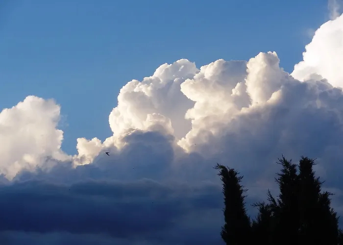 La Solana, Y Alfareria 4*