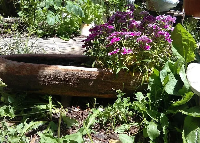 La Solana, Y Alfareria 4* 아레나스 데 산 페드로